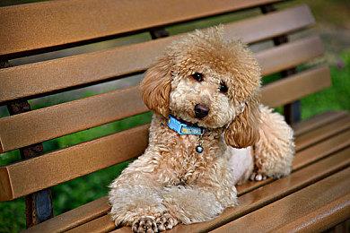 《黑暗世界：因与果》坠入黑暗预告 Wired Productions发行